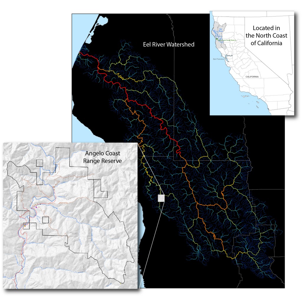Angelo Reserve is located in the Eel River Watershed which spans 3 counties in coastal northern California.