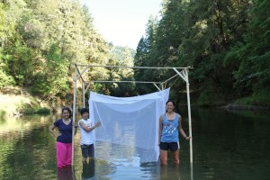 Net emergence traps designed by Hiromi Uno, studied by Shelley Pneh, and constructed by Aislinn Dunne. Hiromi Uno photo.