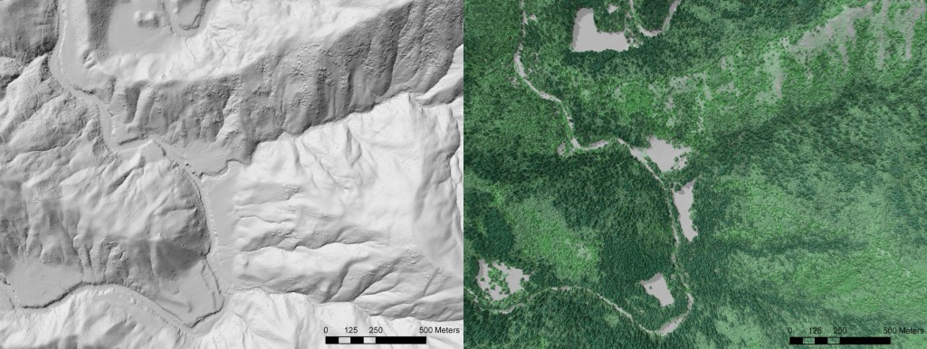 2004 LiDAR. Left processed into Bare-earth DEM. Right processed into Canopy elevation and Tree height. Darker green are taller trees.