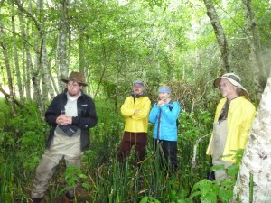 Right to left--Bill Dietrich, Dorothy Merritts, Bob Walter, and RFFI Forest Manager in alder grove near the mouth of the Usal River, discussing restoration options. Equisetum (horse tail) indicates proximity of water table in this shaded swampy meadow.