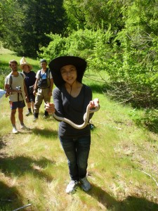 Jonathon Stillman, Trevor Allen, and Jacqueline Nguyen of SFSU en route with Charles Post to the Eel River when Jacqueline gets momentarily distracted by a charismatic King Snake...
