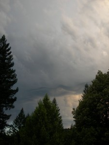 These mammiform clouds were seen by Inez Fung and Mary Power ~ 6 pm on June 24, 2008--they preceded the ~1000 dry lightening strikes that ignitied fires throughout Mendocino Co., including 2 fires that burned within several miles of the Angelo Reserve. The summer was smoky.