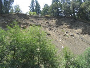 This scree slope was cut by Ten Mile Creek into the "hogback" ridge at its confluence with the South Fork Eel. We are looking south, back on this incised, naturally eroding slope, from Ten Mile Creek--the confluence is just to the right of this photo.